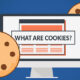 What are website coookies